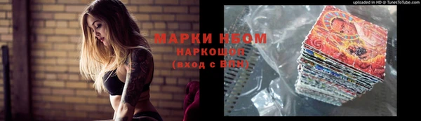 гидропоника Бородино