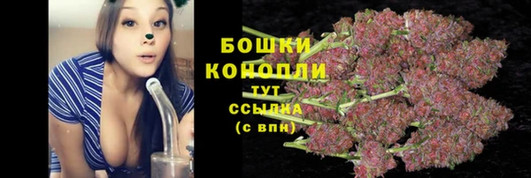 гидропоника Бородино