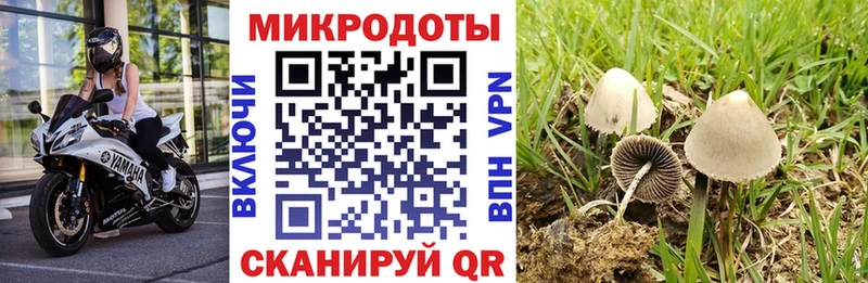 Псилоцибиновые грибы GOLDEN TEACHER  МЕГА как зайти  Оренбург 
